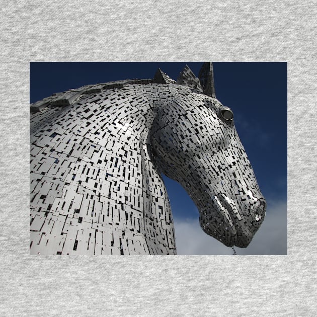 The Kelpies - Duke (3) by MagsWilliamson